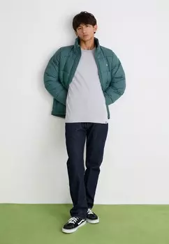 Футболка с длинным рукавом NEWINGTON GARMENT WASH TEE Dickies, серый