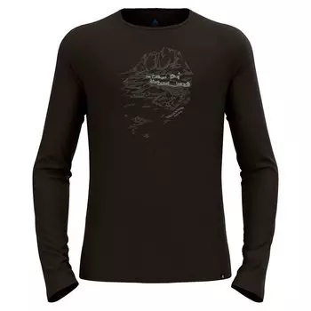 Футболка с длинным рукавом Odlo Ascent Merino 200, черный