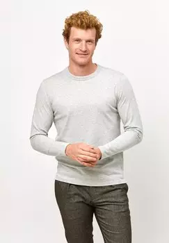 Футболка с длинным рукавом PROFUOMO, серая