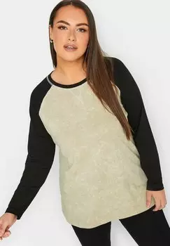 Футболка с длинным рукавом Raglan Yours Clothing, цвет cream