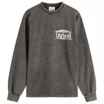 Футболка с длинным рукавом с изображением древнего храма Aries, черный