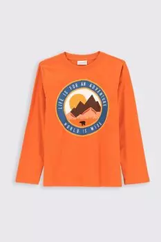 Футболка с длинными рукавами Coccodrillo коричневый с принтом