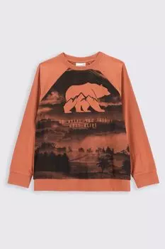 Футболка с длинными рукавами Coccodrillo коричневый с принтом