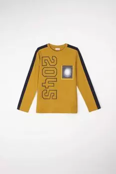 Футболка с длинными рукавами Coccodrillo мед с печатью