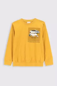 Футболка с длинными рукавами Coccodrillo мед с печатью