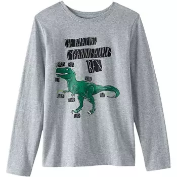 Футболка с длинными рукавами и рисунком для мальчиков Husky 10–20 Lands' End, цвет Gray Heather Dino