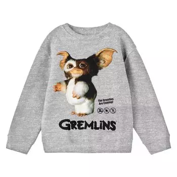 Футболка с длинными рукавами и рисунком Gremlins Gizmo для мальчиков 8–20 лет Licensed Character