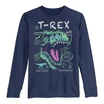 Футболка с длинными рукавами и текстовым плакатом с динозавром T-Rex для мальчиков 8–20 лет Licensed Character