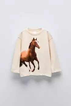 Футболка с фотографией лошади ZARA, экрю