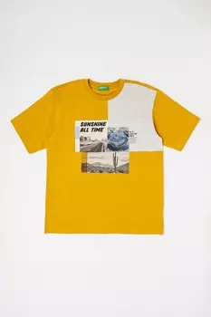 Футболка с фотопринтом United Colors Of Benetton, серый