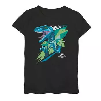 Футболка с геометрическим рисунком Raptor для девочек 7–16 лет Licensed Character