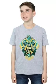 Футболка с гербом «Аквамен» DC Comics, серый