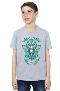 Футболка с гербом «Аквамен Мера» DC Comics, серый