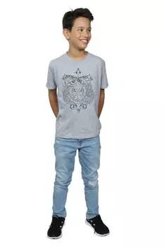 Футболка с гербом Института Дурмстранг Harry Potter, серый