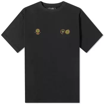 Футболка с глобусом Purple Mountain Observatory, черный