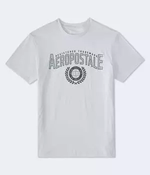 Футболка с графическим логотипом Aeropostale Laurels, серый