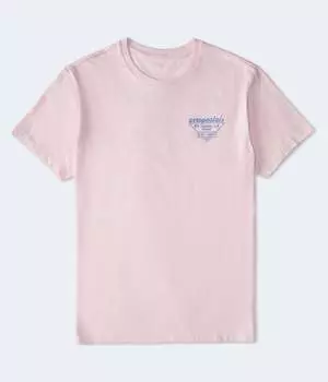 Футболка с графическим логотипом Aeropostale Triangle, светло-розовый