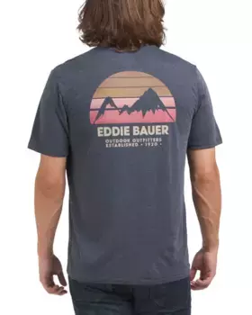Футболка с графическим логотипом Mountain Script Eddie Bauer, цвет Blue Night