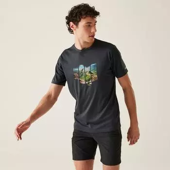 Футболка с графическим принтом 'Fingal VIII' Regatta, серый