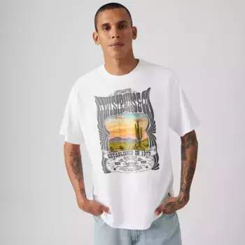 Футболка с графическим принтом Vintage Fit Levi's, цвет Levis Canyon Poster - White