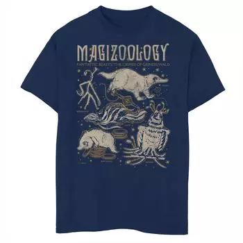 Футболка с графическим рисунком для мальчиков 8–20 лет «Гарри Поттер: Фантастические звери: Преступления Гриндевальда», учебник магизоологии Harry Potter