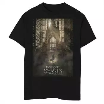 Футболка с графическим рисунком «Фантастические твари: Преступления Гриндельвальда», плакат Магического конгресса для мальчиков 8–20 лет Harry Potter
