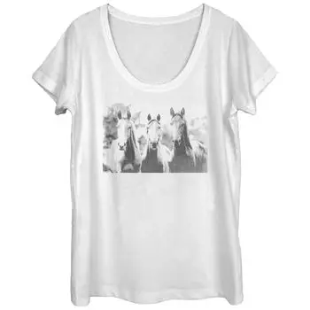 Футболка с изображением фотографий «Три лошади» для юниоров Licensed Character