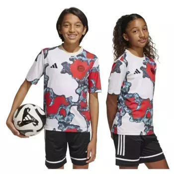 Футболка с коротким рукавом adidas FC Bayern 24/25 pre match junior, разноцветный