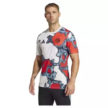 Футболка с коротким рукавом adidas FC Bayern 24/25 pre match, разноцветный