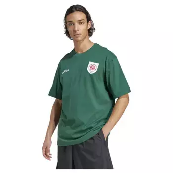 Футболка с коротким рукавом adidas Originals Badge Graphic, зеленый