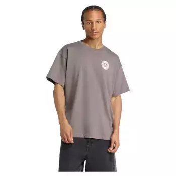 Футболка с коротким рукавом adidas Originals Street Band, серый