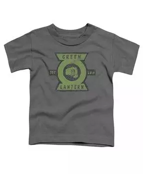 Футболка с коротким рукавом для мальчиков Green Lantern, серый