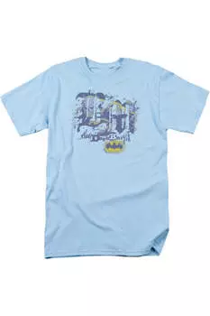 Футболка с коротким рукавом для взрослых «Бэтмен, он видит все» Gildan, светло-голубой