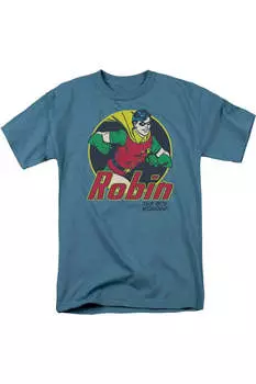 Футболка с коротким рукавом для взрослых DC Comics The Boy Wonder Woman Gildan, цвет slate