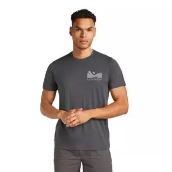 Футболка с коротким рукавом Icebreaker Merino 150 Tech Lite Southern Shape, серый