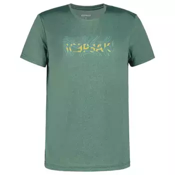 Футболка с коротким рукавом Icepeak Bearden, зеленый