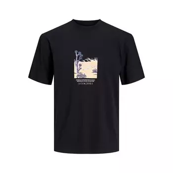 Футболка с коротким рукавом Jack & Jones Lucca Graphic, черный