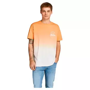 Футболка с коротким рукавом Jack & Jones Tarif, оранжевый