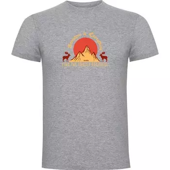 Футболка с коротким рукавом Kruskis Find The Trully, серый