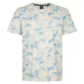 Футболка с коротким рукавом Petrol Industries M-1050-TSR6230 Plus Size, бежевый