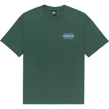 Футболка с коротким рукавом Quiksilver Desert Paradise, зеленый