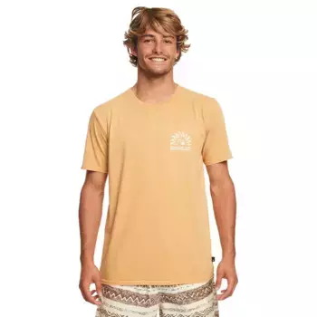 Футболка с коротким рукавом Quiksilver Earthy Type Ss, желтый
