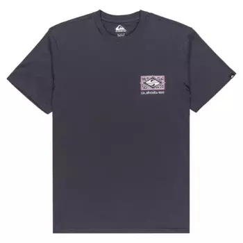 Футболка с коротким рукавом Quiksilver Evo Youth Crisis, серый