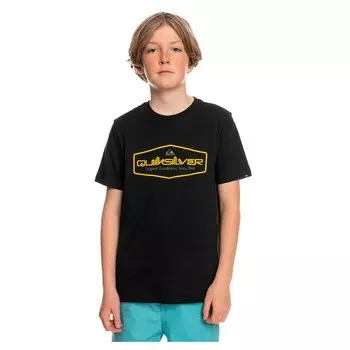 Футболка с коротким рукавом Quiksilver Omni Lock Up EQBZT04541, черный