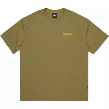 Футболка с коротким рукавом Quiksilver Pto Sun Flow, зеленый