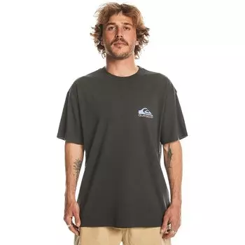 Футболка с коротким рукавом Quiksilver Take Us Back Logo, черный