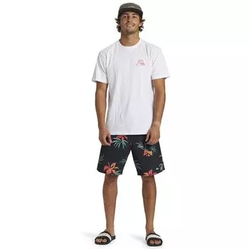 Футболка с коротким рукавом Quiksilver The Original Bo, белый