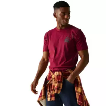 Футболка с коротким рукавом Regatta Cline IX, красный