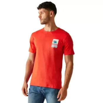 Футболка с коротким рукавом Regatta Cline IX, оранжевый