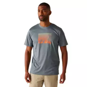 Футболка с коротким рукавом Regatta Fingal IX, серый